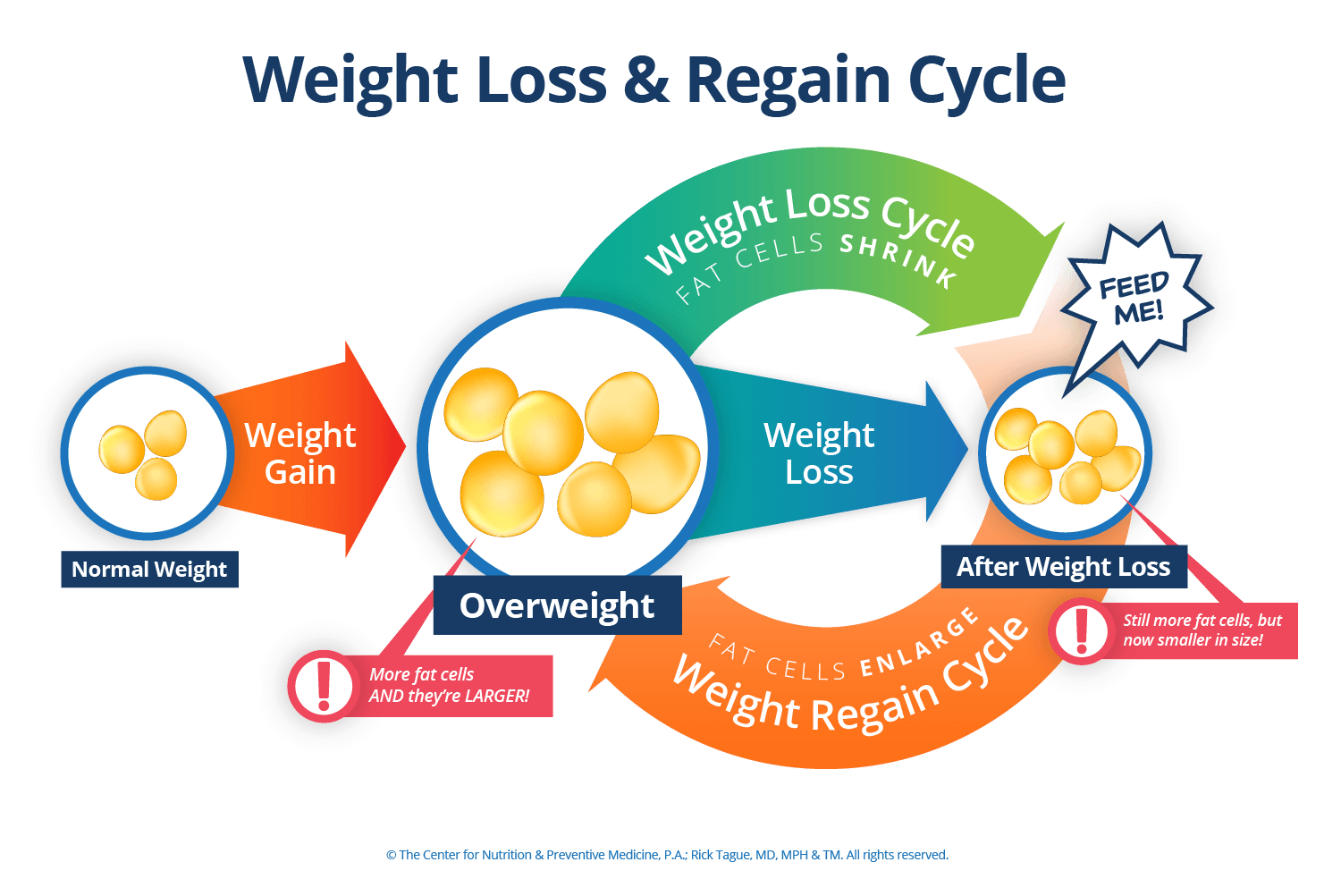 Weight Loss & Regain Cycle